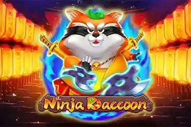 Ninja Racoon